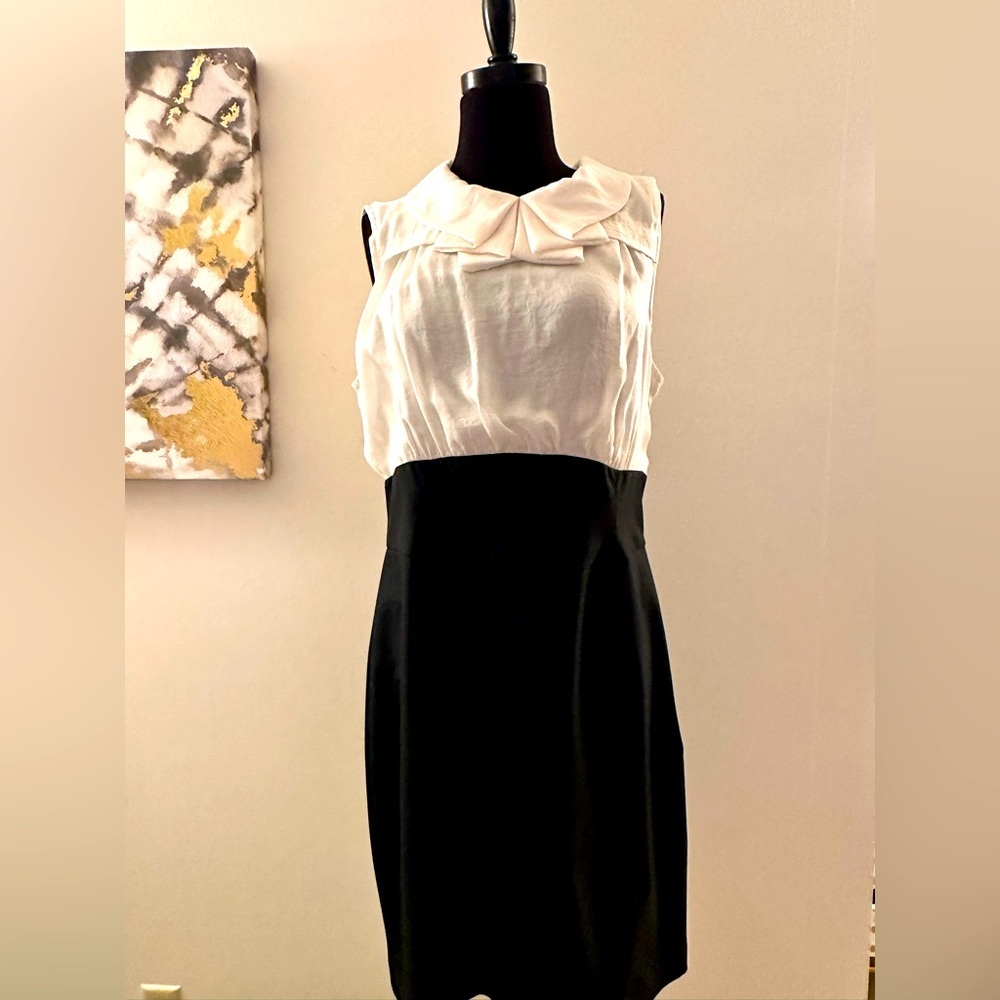 Ladies Dress. The Limited. Size 12